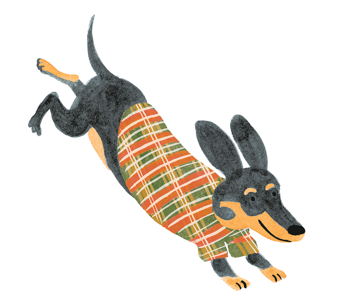 barkers_dachshund1140px