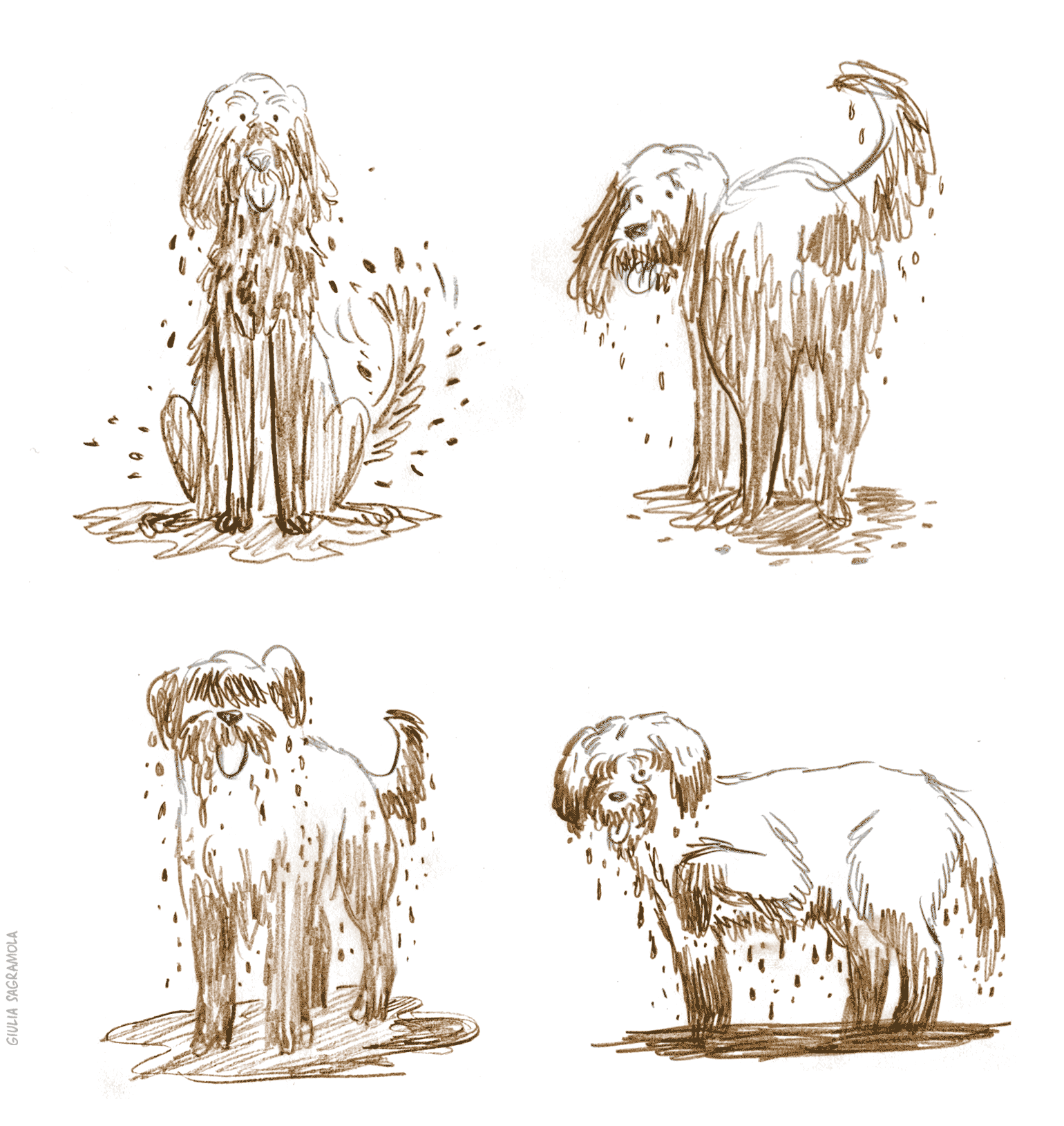 barkers_muddy_dog_sketch1540px