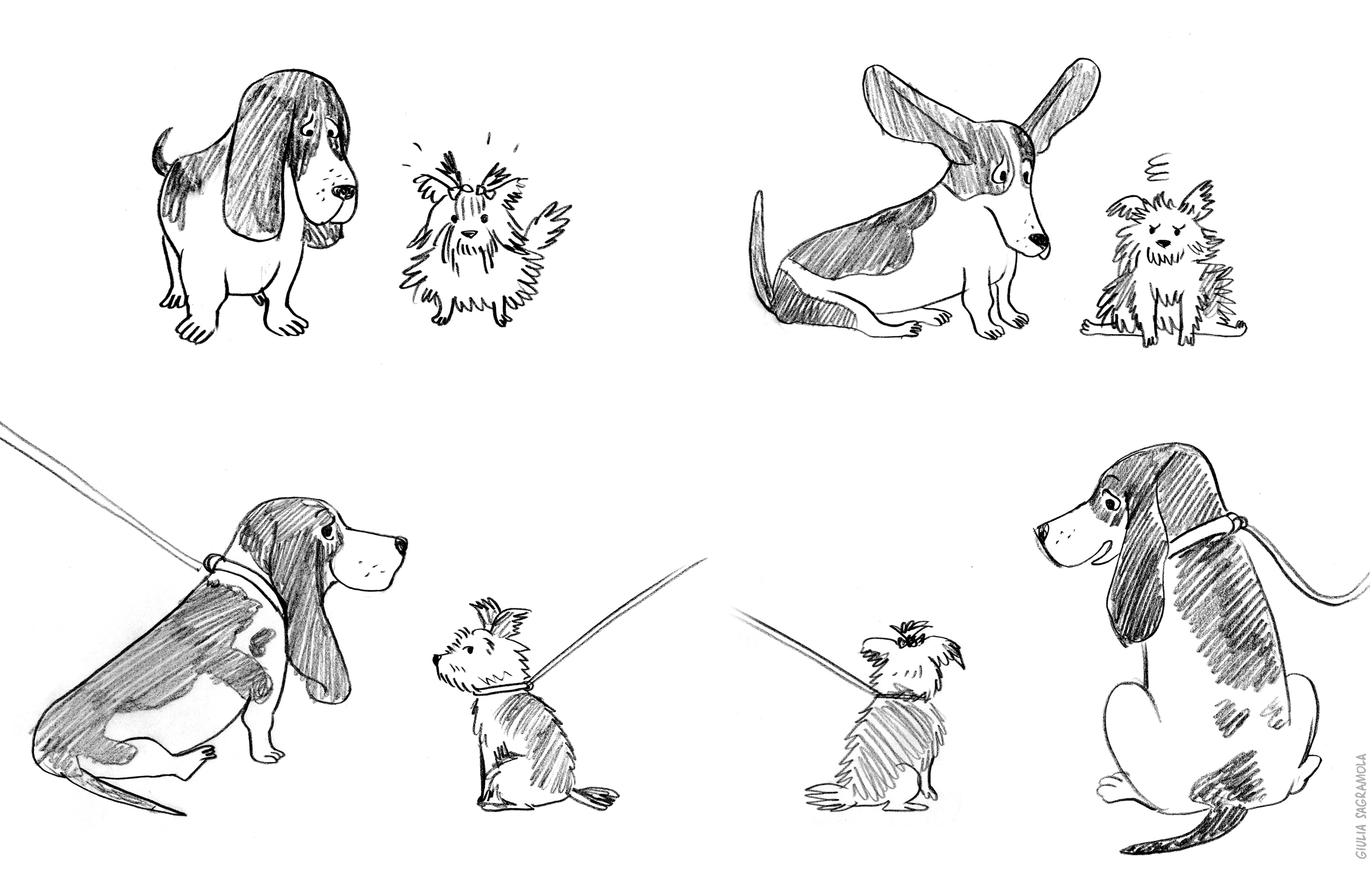 barkers_sketches_for_website02