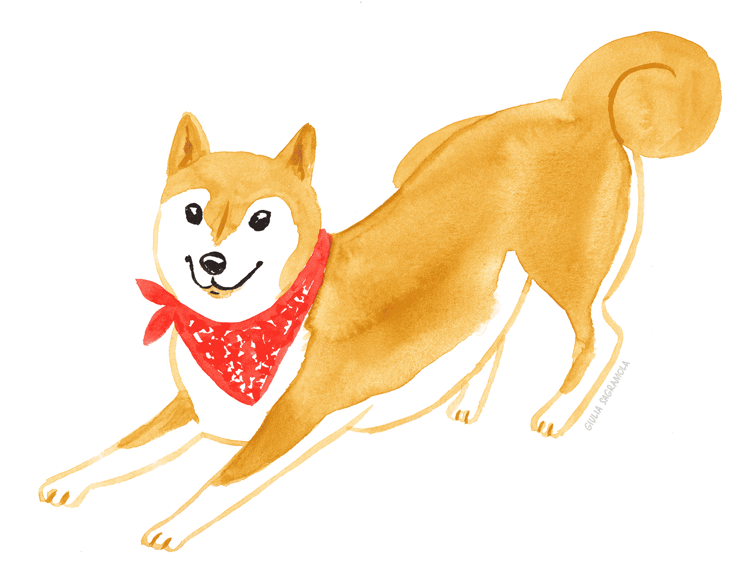 giuliasagramola_shiba-inu1540px